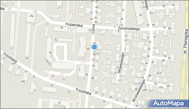 Skierniewice, Cicha, 61, mapa Skierniewic