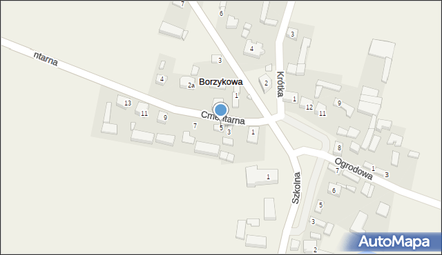 Borzykowa, Cmentarna, 5, mapa Borzykowa