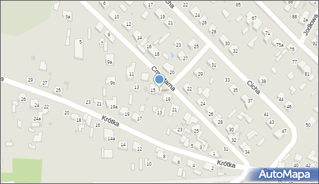 Ozorków, Cmentarna, 17, mapa Ozorków