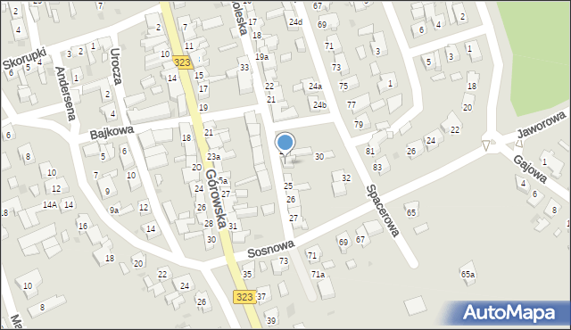 Leszno, Czarnoleska, 24, mapa Leszno