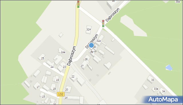 Dąbroszyn, Dąbroszyn, 29, mapa Dąbroszyn