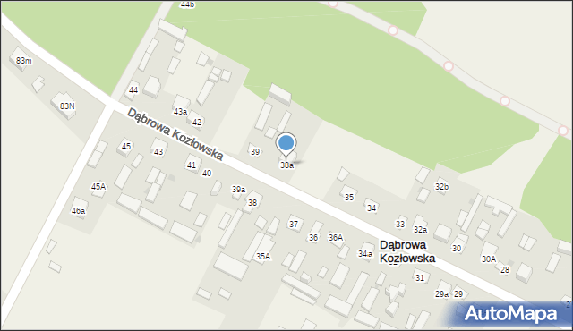 Dąbrowa Kozłowska, Dąbrowa Kozłowska, 38a, mapa Dąbrowa Kozłowska