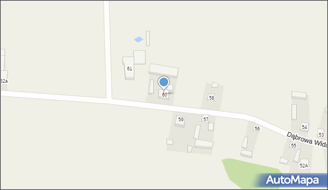 Dąbrowa Widawska, Dąbrowa Widawska, 60, mapa Dąbrowa Widawska