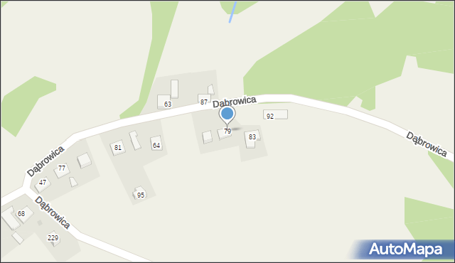 Dąbrowica, Dąbrowica, 79, mapa Dąbrowica