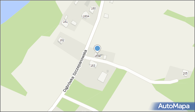 Dąbrówka Szczepanowska, Dąbrówka Szczepanowska, 163a, mapa Dąbrówka Szczepanowska
