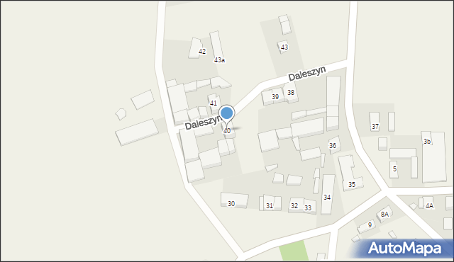 Daleszyn, Daleszyn, 40, mapa Daleszyn