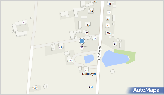 Daleszyn, Daleszyn, 45, mapa Daleszyn