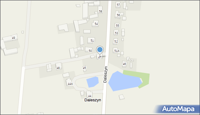 Daleszyn, Daleszyn, 47, mapa Daleszyn