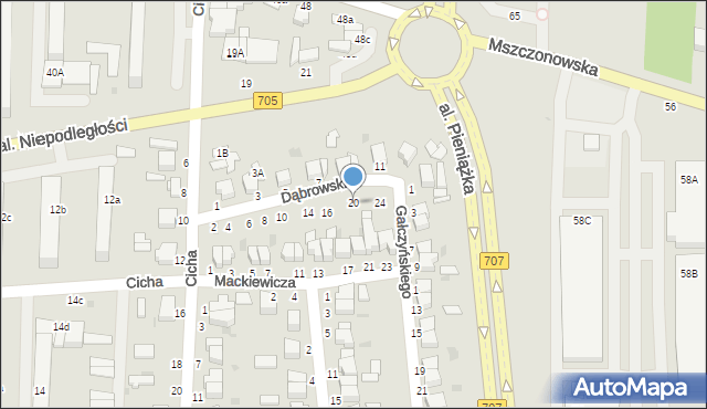 Skierniewice, Dąbrowskiej Marii, 20, mapa Skierniewic