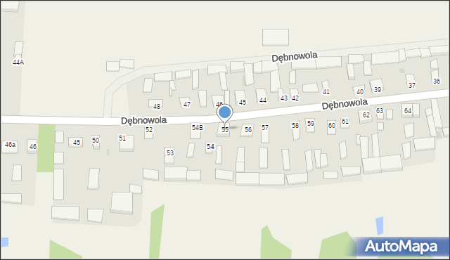 Dębnowola, Dębnowola, 55, mapa Dębnowola