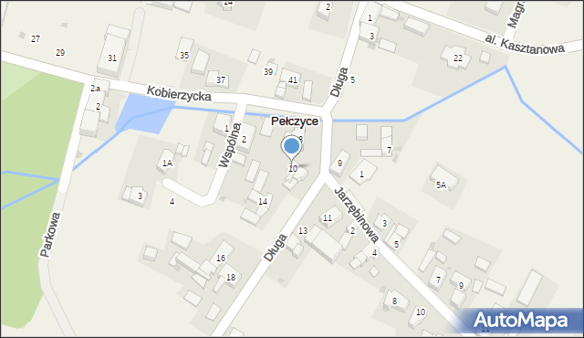 Pełczyce, Długa, 10, mapa Pełczyce