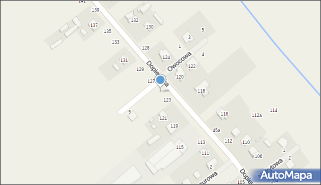 Konarzewo, Dopiewska, 125, mapa Konarzewo