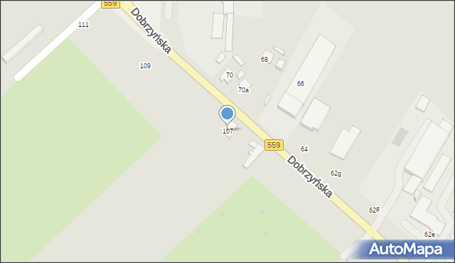 Płock, Dobrzyńska, 107, mapa Płock