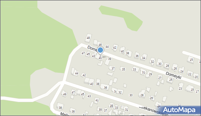 Poznań, Domeyki Ignacego, 41, mapa Poznania