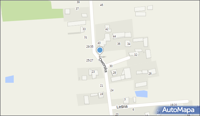 Wola Hankowska, Dworska, 38, mapa Wola Hankowska