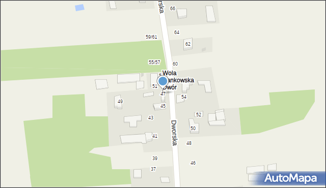 Wola Hankowska, Dworska, 47, mapa Wola Hankowska