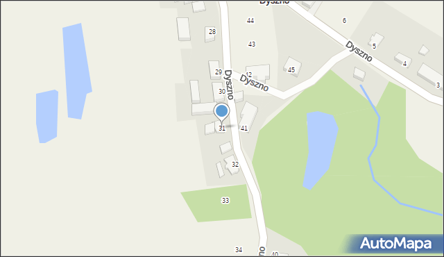 Dyszno, Dyszno, 31, mapa Dyszno