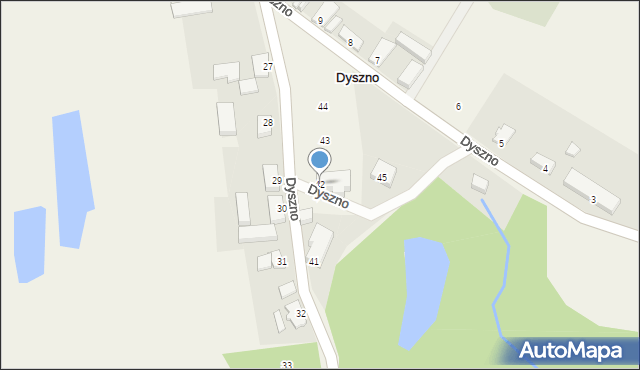 Dyszno, Dyszno, 42, mapa Dyszno