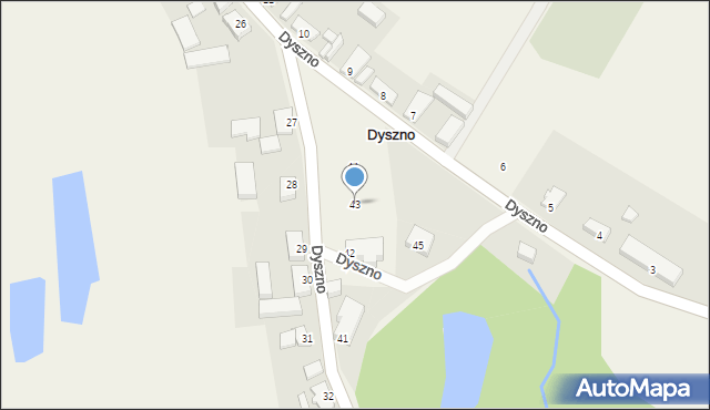 Dyszno, Dyszno, 43, mapa Dyszno