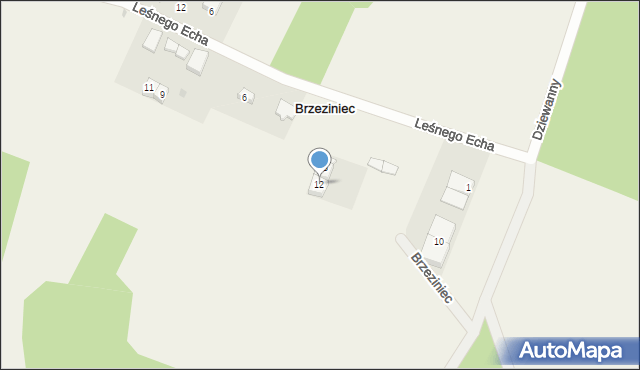 Brzeziniec, Dziewanny, 12, mapa Brzeziniec