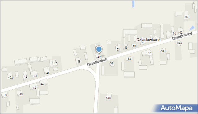 Dziadowice, Dziadowice, 49, mapa Dziadowice