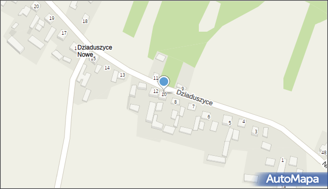 Dziaduszyce, Dziaduszyce, 10, mapa Dziaduszyce