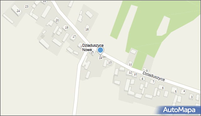 Dziaduszyce, Dziaduszyce, 14, mapa Dziaduszyce
