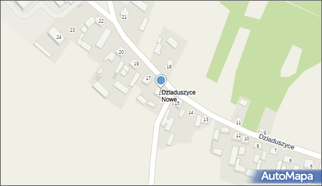 Dziaduszyce, Dziaduszyce, 16, mapa Dziaduszyce