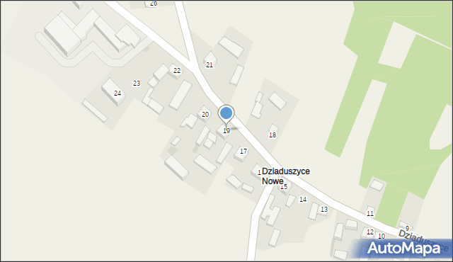 Dziaduszyce, Dziaduszyce, 19, mapa Dziaduszyce