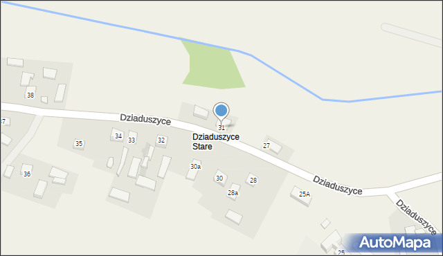 Dziaduszyce, Dziaduszyce, 31, mapa Dziaduszyce