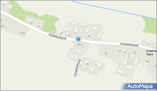 Dziaduszyce, Dziaduszyce, 37, mapa Dziaduszyce