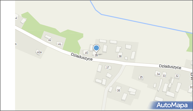 Dziaduszyce, Dziaduszyce, 39, mapa Dziaduszyce