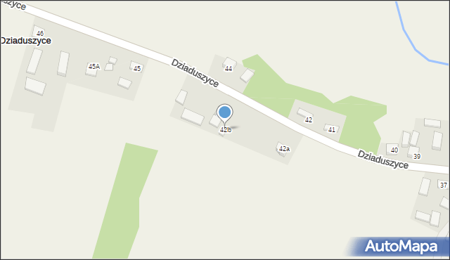 Dziaduszyce, Dziaduszyce, 42b, mapa Dziaduszyce