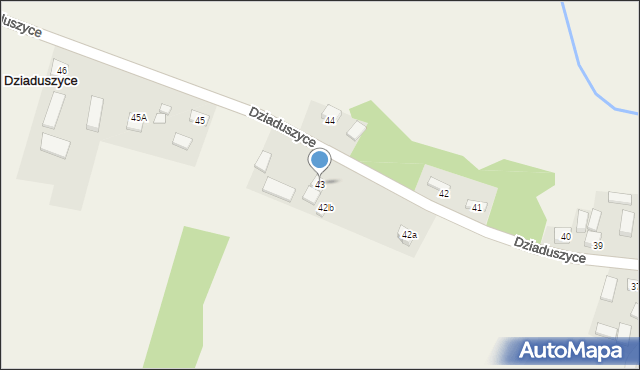 Dziaduszyce, Dziaduszyce, 43, mapa Dziaduszyce