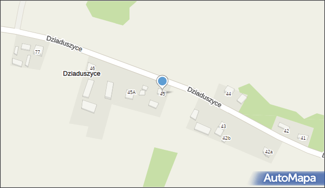 Dziaduszyce, Dziaduszyce, 45, mapa Dziaduszyce