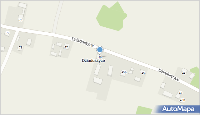 Dziaduszyce, Dziaduszyce, 46, mapa Dziaduszyce