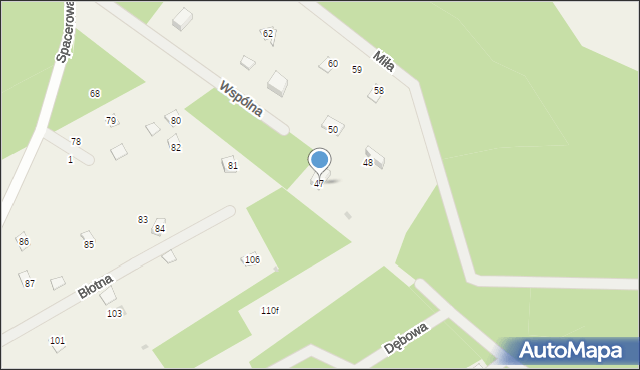 Dziektarzew, Dziektarzew, 47, mapa Dziektarzew