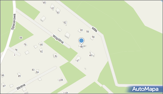 Dziektarzew, Dziektarzew, 50, mapa Dziektarzew