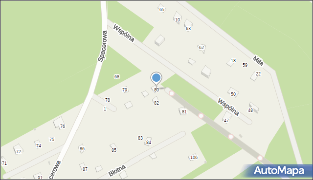 Dziektarzew, Dziektarzew, 80, mapa Dziektarzew