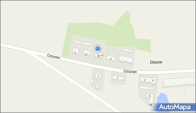 Dziunin, Dziunin, 9, mapa Dziunin