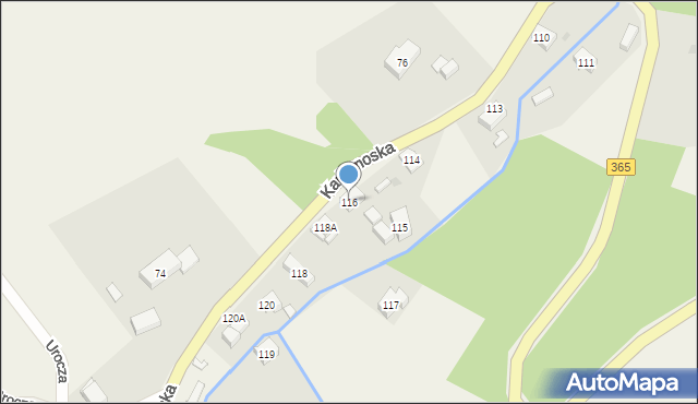 Dziwiszów, Dziwiszów, 116, mapa Dziwiszów