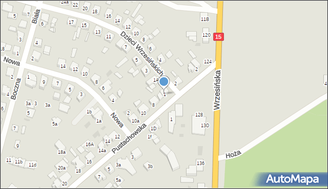 Gniezno, Dzieci Wrzesińskich, 1, mapa Gniezna