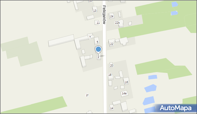 Felicjanów, Felicjanów, 1, mapa Felicjanów