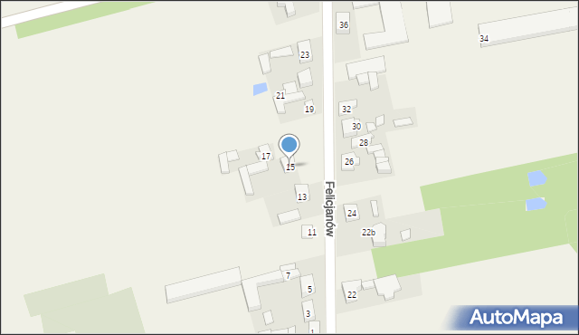 Felicjanów, Felicjanów, 15, mapa Felicjanów