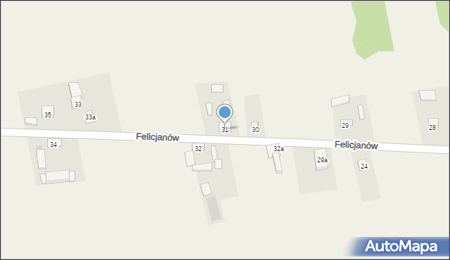 Felicjanów, Felicjanów, 31, mapa Felicjanów