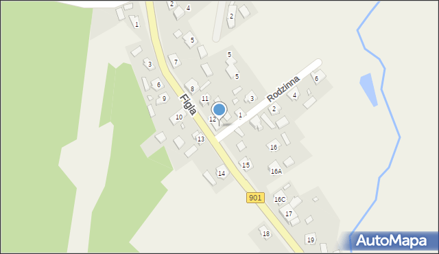 Pietraszów, Figla, 12b, mapa Pietraszów