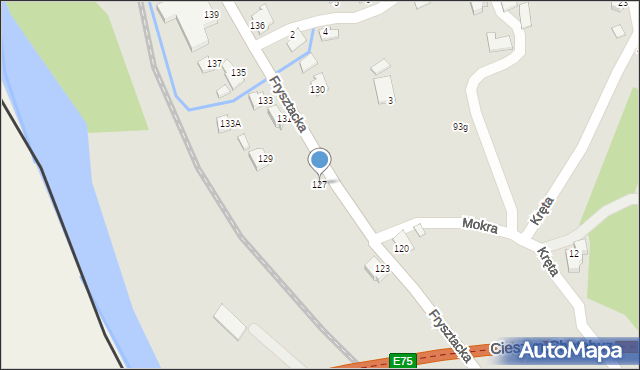 Cieszyn, Frysztacka, 127, mapa Cieszyna