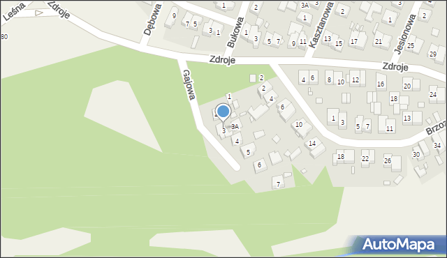 Czerwonak, Gajowa, 3, mapa Czerwonak