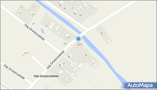 Gaj Gruszczański, Gaj Gruszczański, 31, mapa Gaj Gruszczański