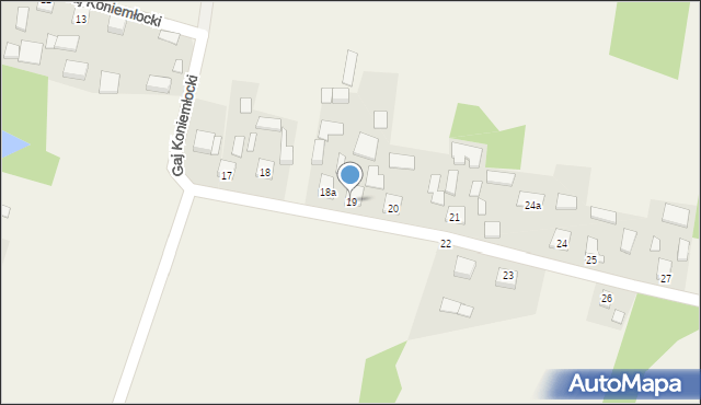 Gaj Koniemłocki, Gaj Koniemłocki, 19, mapa Gaj Koniemłocki